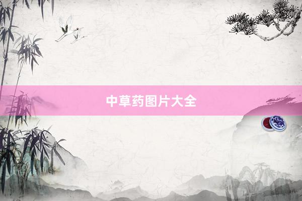中草药图片大全