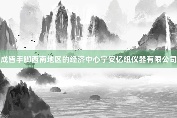 成皆手脚西南地区的经济中心宁安亿纽仪器有限公司