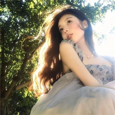 权力的堡垒 第四季